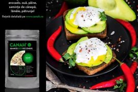 Toast avocado oua posate si seminte de canepa 570x570 1 1