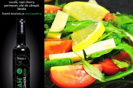 Salata cu parmezan rucola si ulei de canepa 570x570 1