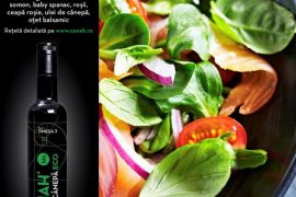 Salata cu somon ulei de canepa 570x570 1