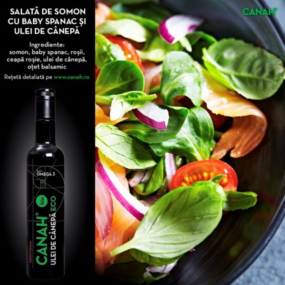 Salata cu somon ulei de canepa 570x570 1